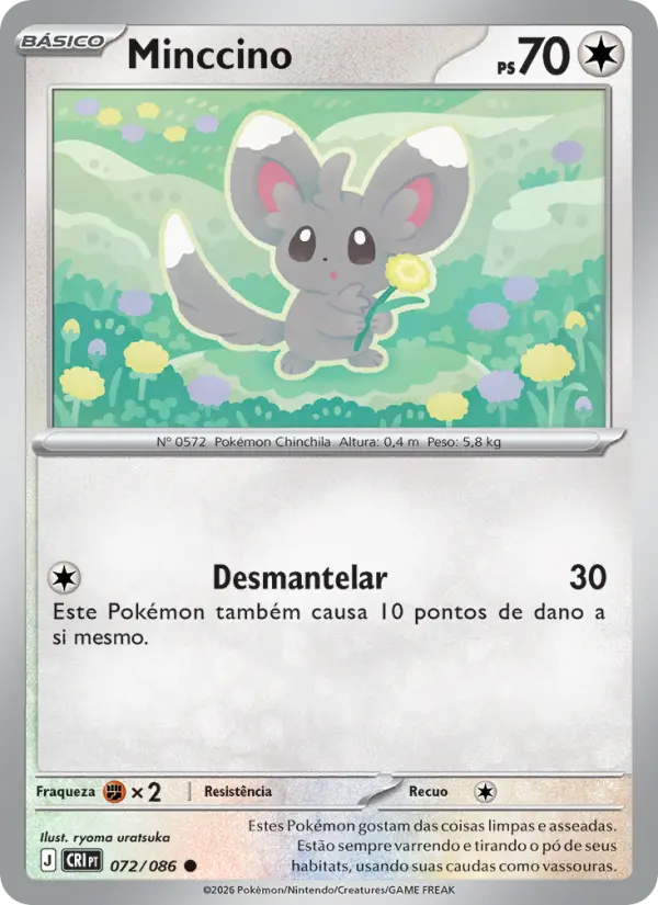 Minccino